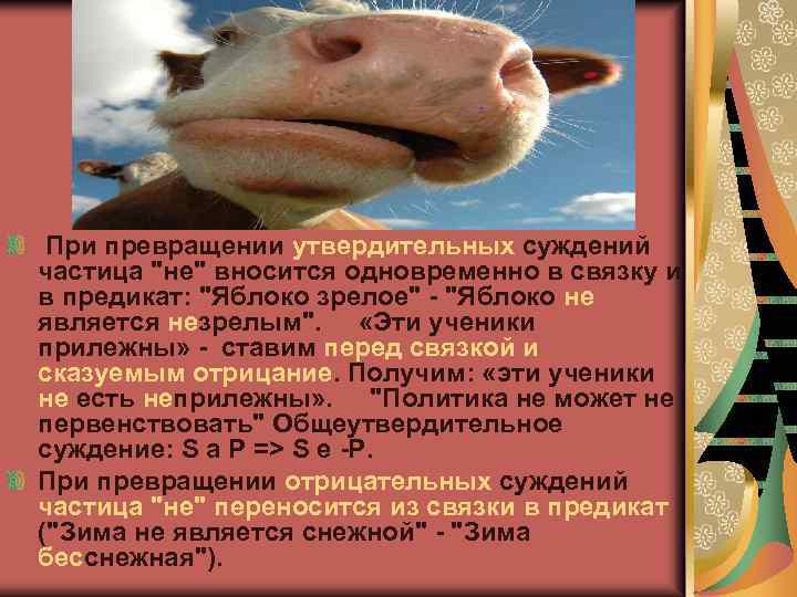  При превращении утвердительных суждений частица 