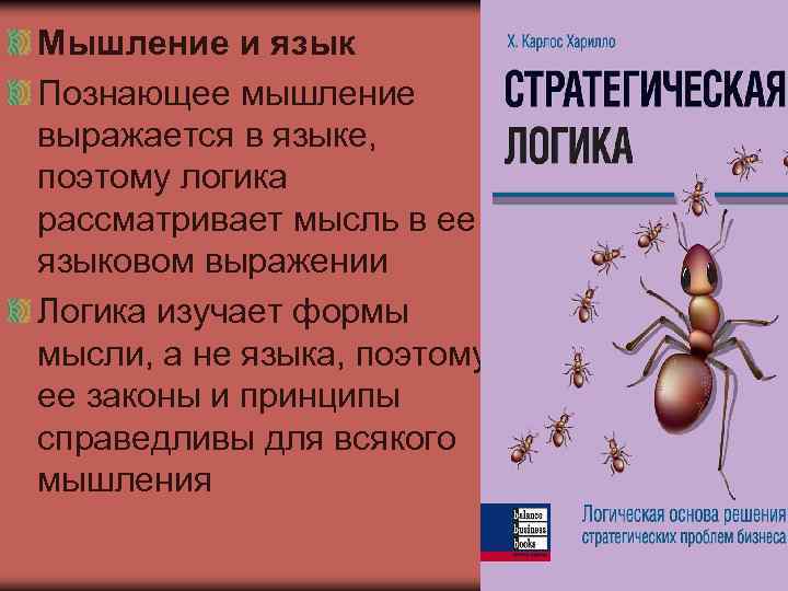 Мышление и язык Познающее мышление выражается в языке, поэтому логика рассматривает мысль в ее