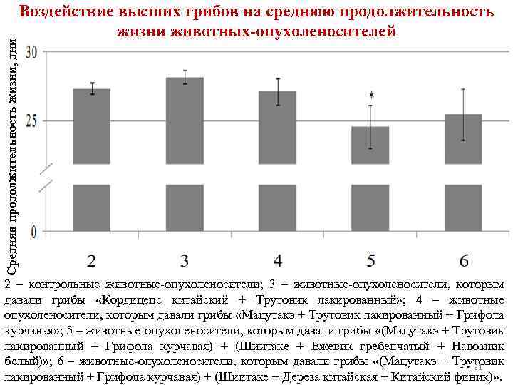 Средняя продолжительность жизни, дни Воздействие высших грибов на среднюю продолжительность жизни животных-опухоленосителей 2 –