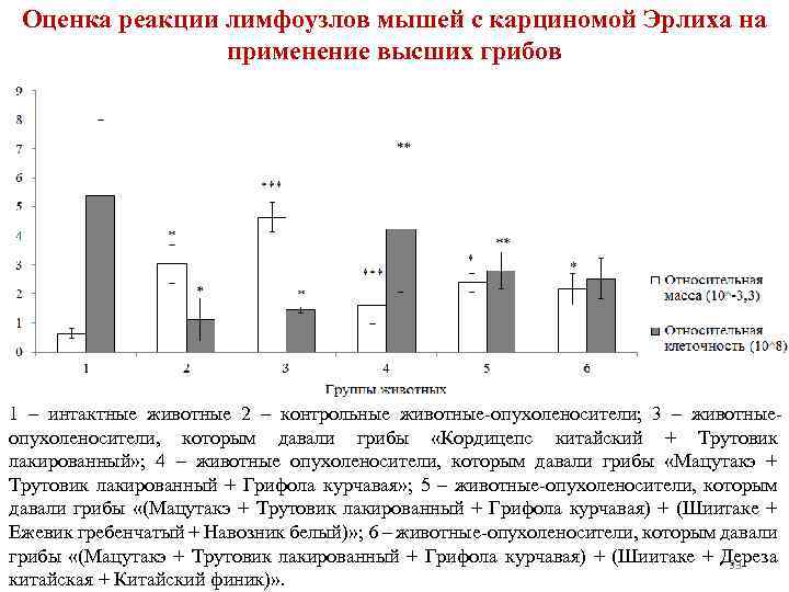 Оценка реакции лимфоузлов мышей с карциномой Эрлиха на применение высших грибов 1 – интактные