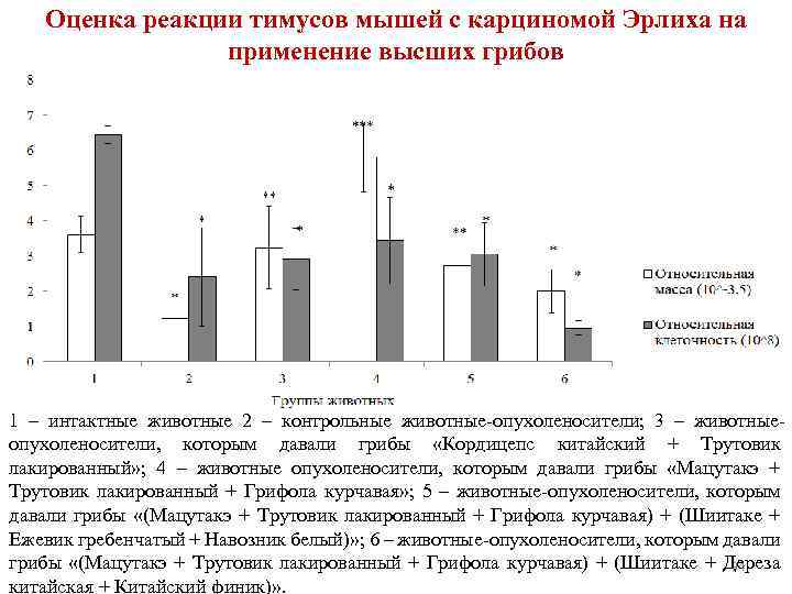 Оценка реакции тимусов мышей с карциномой Эрлиха на применение высших грибов 1 – интактные