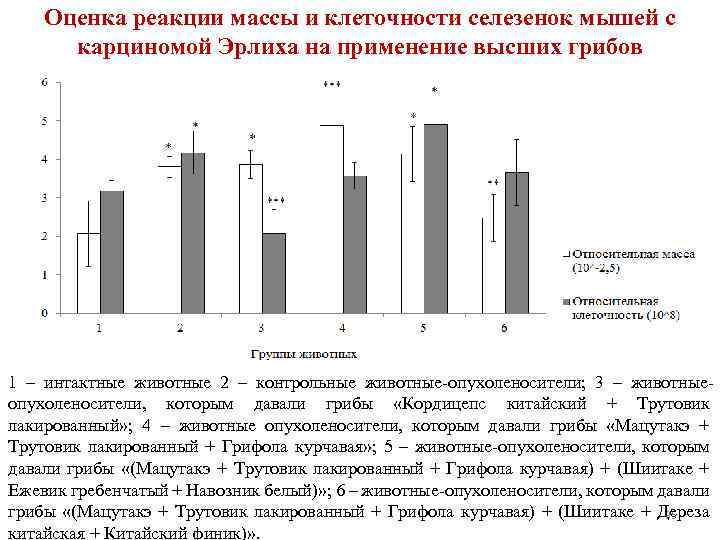 Оценка реакции массы и клеточности селезенок мышей с карциномой Эрлиха на применение высших грибов