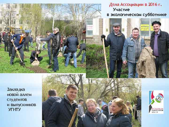 Дела Ассоциации в 2016 г. Участие в экологическом субботнике Закладка новой аллеи студентов и