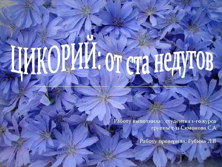 Работу выполнила: студентка 1 -го курса группы т-11 Симонова С. А. Работу проверила: Губина