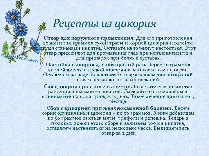 Рецепты из цикория Отвар для наружного применения. Для его приготовления возьмите 20 граммов сухой
