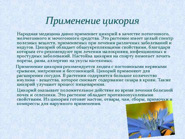 Применение цикория Народная медицина давно применяет цикорий в качестве потогонного, желчегонного и мочегонного средства.