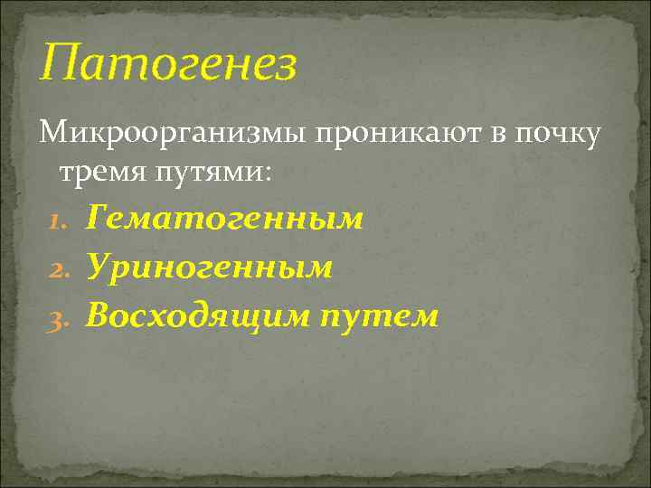 Патогенез Микроорганизмы проникают в почку тремя путями: 1. Гематогенным 2. Уриногенным 3. Восходящим путем