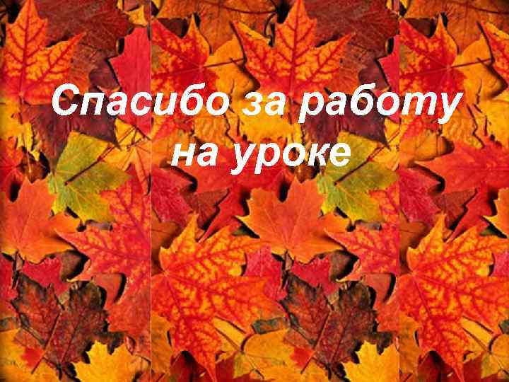 Спасибо за работу на уроке 