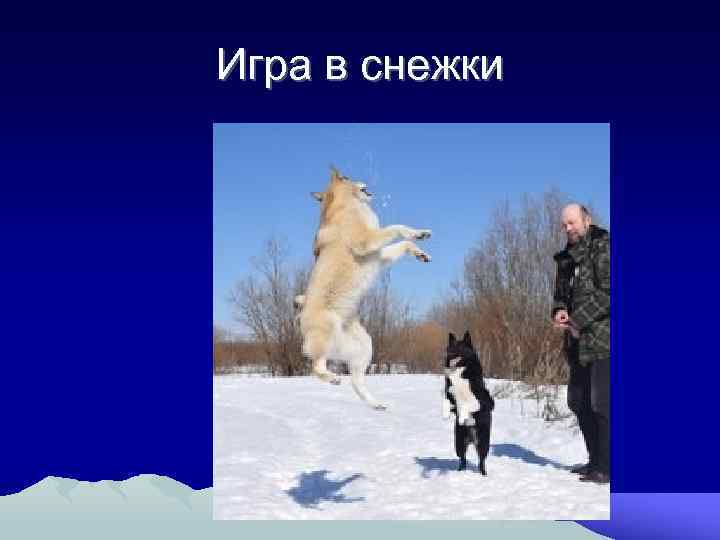 Игра в снежки 