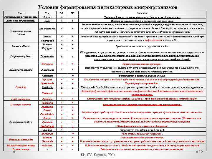 Условия формирования индикаторных микроорганизмов Класс Растительные жгутиконосцы Животные жгутиконосцы Настоящие амебы Lobosea Филозеи Filosea