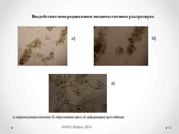 Воздействие опосредованного низкочастотного ультразвука а) б) в) а) дефлокуляция хлопьев; б) образование цист; в)