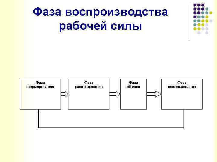 Фаза воспроизводства рабочей силы Фаза формирования Фаза распределения Фаза обмена Фаза использования 