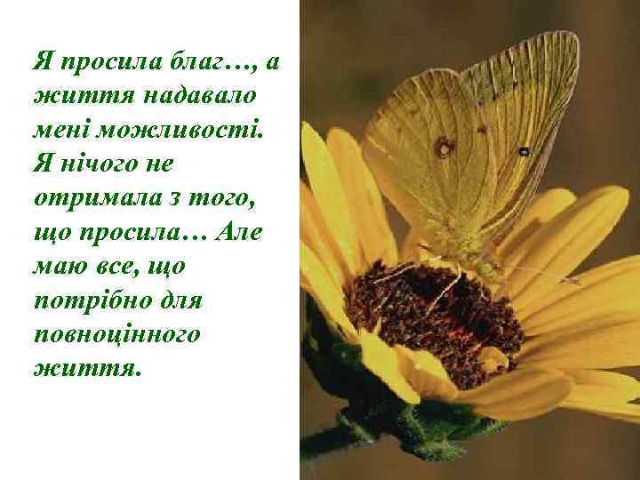 Я просила благ…, а життя надавало мені можливості. Я нічого не отримала з того,