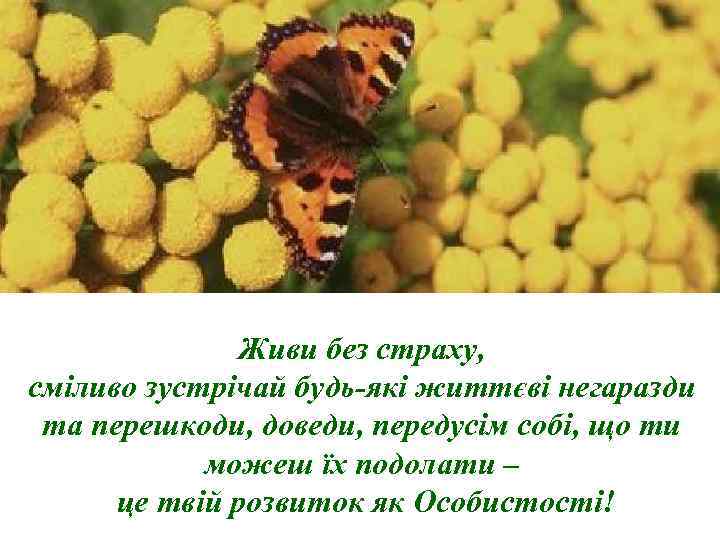 Живи без страху, сміливо зустрічай будь-які життєві негаразди та перешкоди, доведи, передусім собі, що