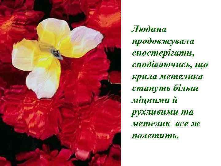 Людина продовжувала спостерігати, сподіваючись, що крила метелика стануть більш міцними й рухливими та метелик