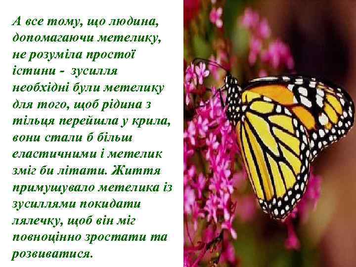 А все тому, що людина, допомагаючи метелику, не розуміла простої істини - зусилля необхідні