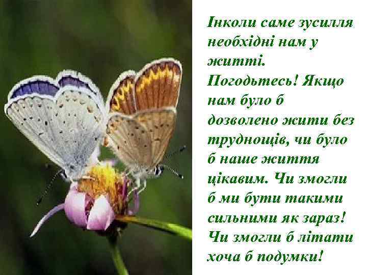 Інколи саме зусилля необхідні нам у житті. Погодьтесь! Якщо нам було б дозволено жити