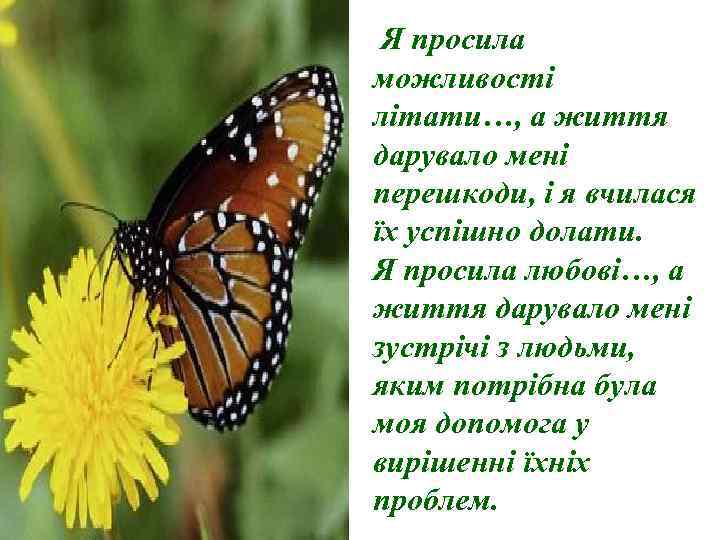 Я просила можливості літати…, а життя дарувало мені перешкоди, і я вчилася їх успішно