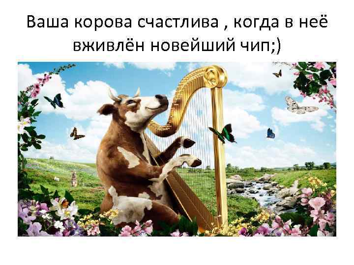 Ваша корова счастлива , когда в неё вживлён новейший чип; ) 