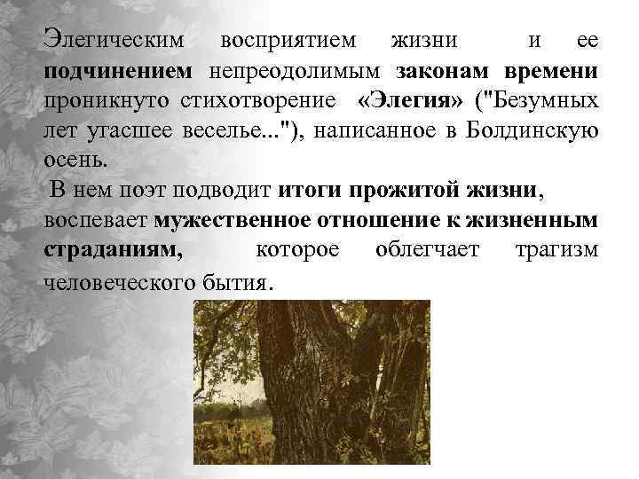 Стихотворение безумных лет угасшее веселье. Элегия Пушкин анализ. Элегия философская лирика. Элегия Пушкин стихотворение анализ. Анализ стихотворения Элегия Пушкина.