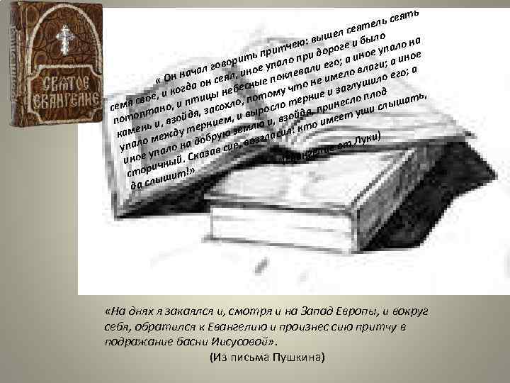 ть ь сея тел л сея ло ше ю: вы оге и бы пало