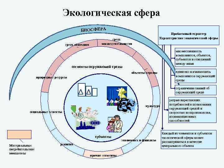 Экологическая сфера БИОСФЕРА среда обитания Проблемный характер Характеристик экологической сферы среда жизнедеятельности множественность компонентов,