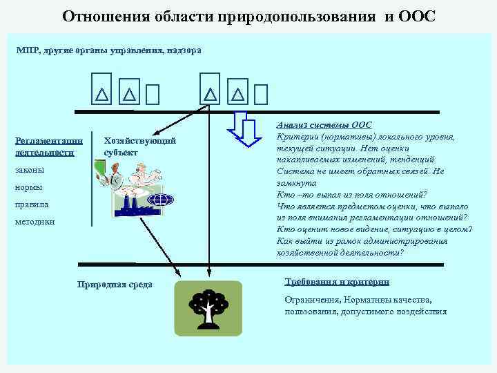 Отношения области природопользования и ООС МПР, другие органы управления, надзора Регламентации деятельности Хозяйствующий субъект