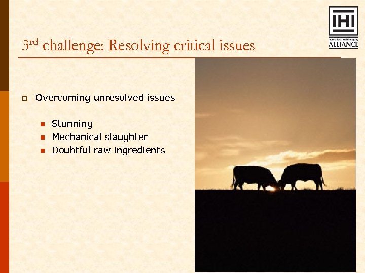 3 rd challenge: Resolving critical issues p Overcoming unresolved issues n n n Stunning