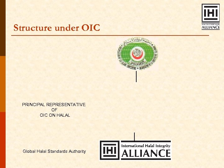 Structure under OIC PRINCIPAL REPRESENTATIVE OF OIC ON HALAL Global Halal Standards Authority 