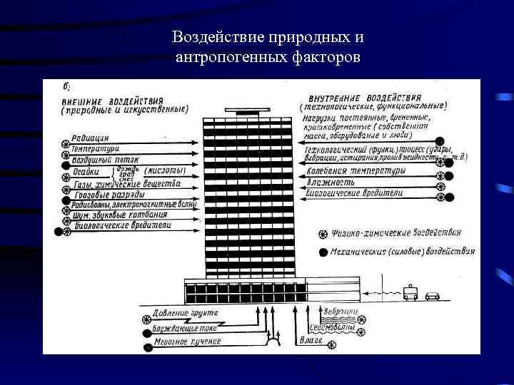Воздействие природных и антропогенных факторов 