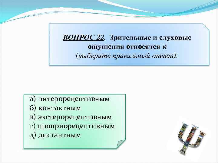 Слуховые ощущения