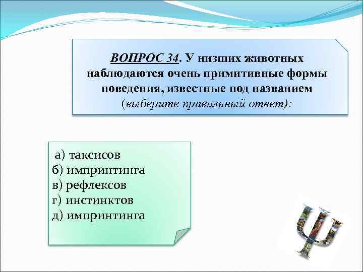 ВОПРОС 34. У низших животных наблюдаются очень примитивные формы поведения, известные под названием (выберите