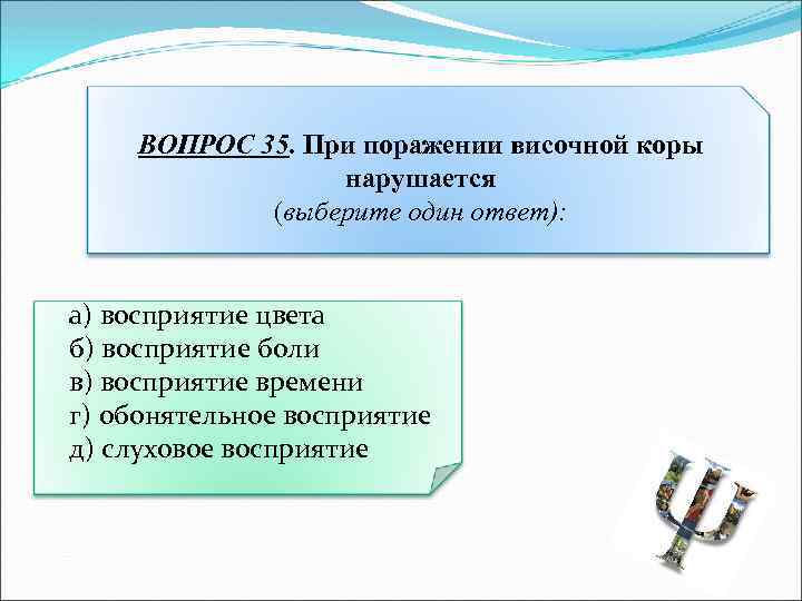 ВОПРОС 35. При поражении височной коры нарушается (выберите один ответ): а) восприятие цвета б)