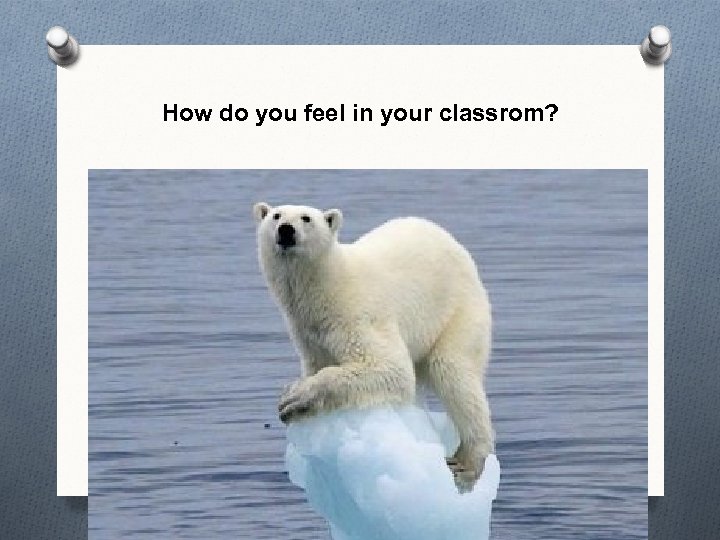 How do you feel in your classrom? 
