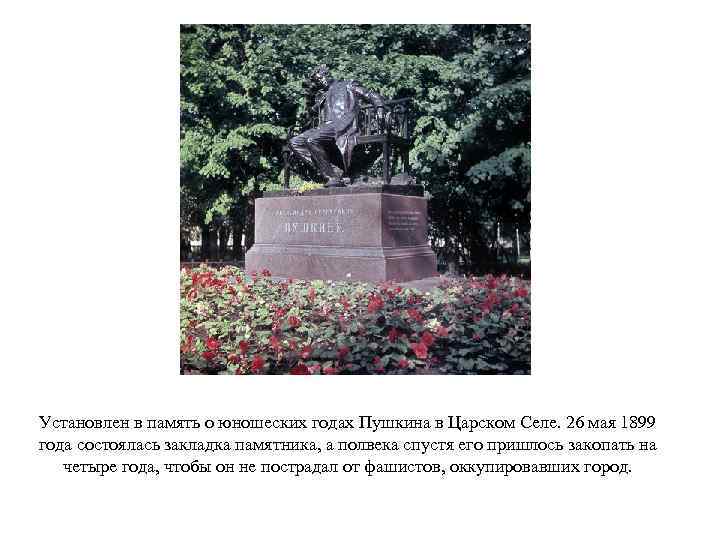 Установлен в память о юношеских годах Пушкина в Царском Селе. 26 мая 1899 года