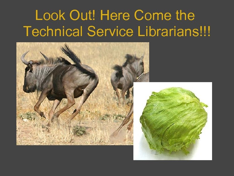 Look Out! Here Come the Technical Service Librarians!!! 