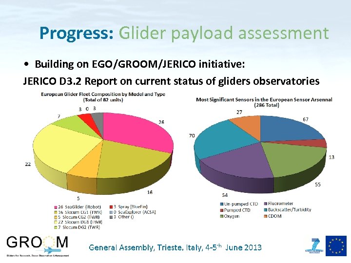 Progress: Glider payload assessment • Building on EGO/GROOM/JERICO initiative: JERICO D 3. 2 Report