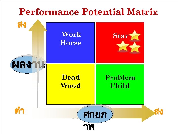 Performance Potential Matrix สง Work Horse Star Dead Wood Problem Child ผลงาน ตำ ศกยภาพ