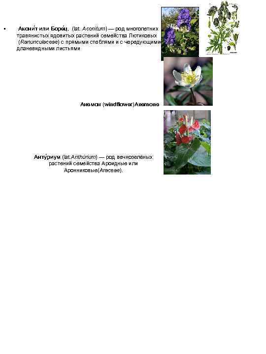  • Акони т или Боре ц, (lat. Aconítum) — род многолетних травянистых ядовитых