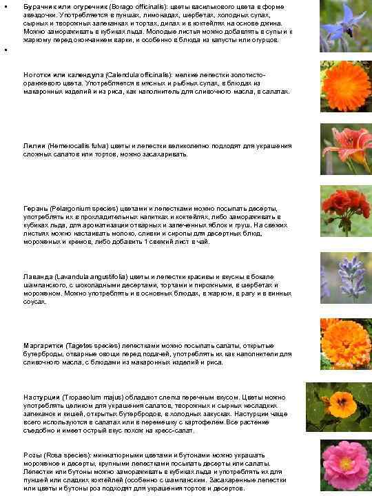  • Бурачник или огуречник (Borago officinalis): цветы василькового цвета в форме звездочки. Употребляется