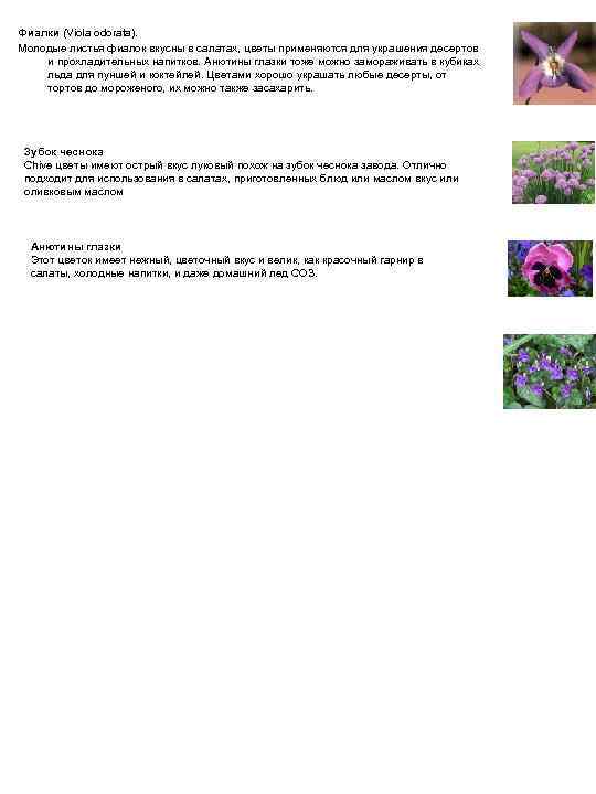 Фиалки (Viola odorata). Молодые листья фиалок вкусны в салатах, цветы применяются для украшения десертов