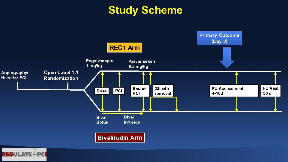 Study Scheme Primary Outcome (Day 3) REG 1 Arm Pegnivacogin 1 mg/kg Angiography/ Need