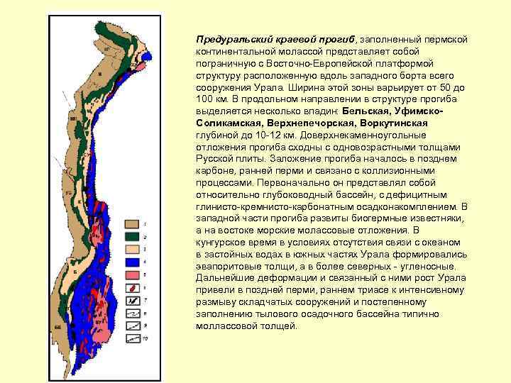 Предуральский краевой прогиб, заполненный пермской континентальной молассой представляет собой пограничную с Восточно-Европейской платформой структуру