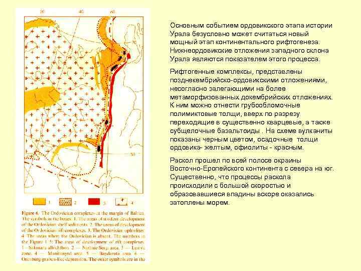 Основным событием ордовикского этапа истории Урала безусловно может считаться новый мощный этап континентального рифтогенеза.