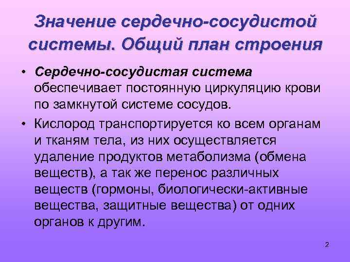 Общий план строения сердечно сосудистой системы