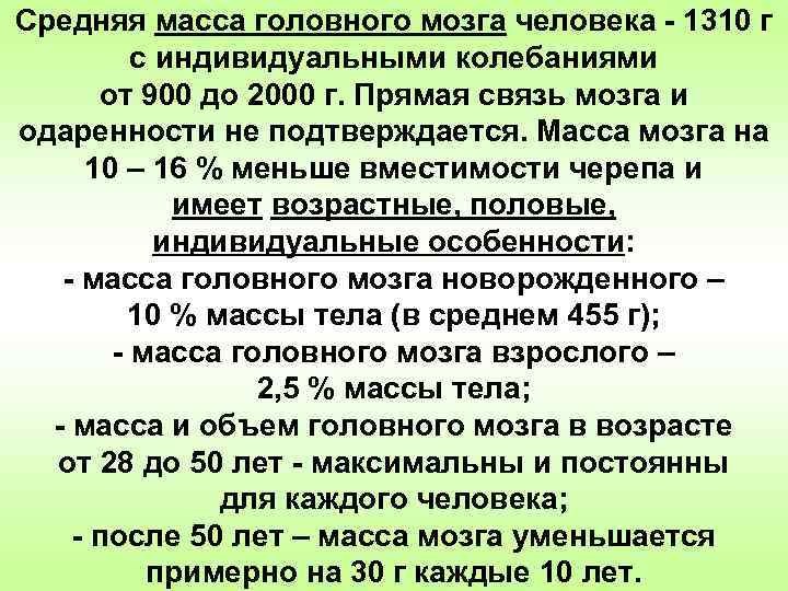 Средняя масса мозга человека