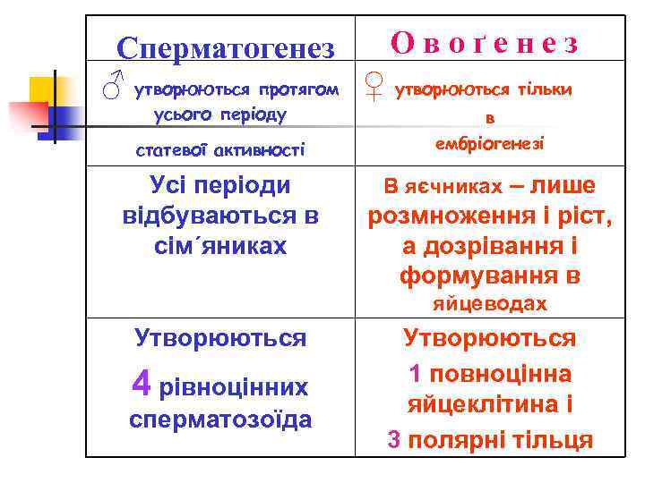 Овоґенез Сперматогенез ♂ утворюються протягом ♀ утворюються тільки усього періоду статевої активності Усі періоди