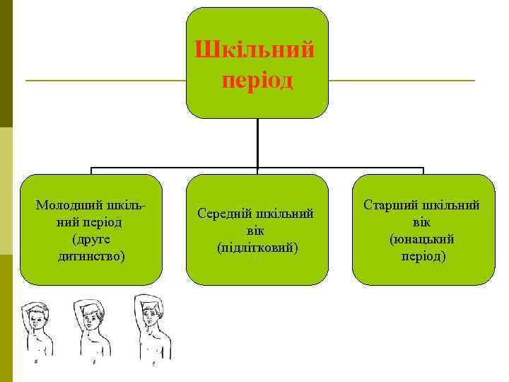 Шкільний період Молодший шкільний період (друге дитинство) Середній шкільний вік (підлітковий) Старший шкільний вік