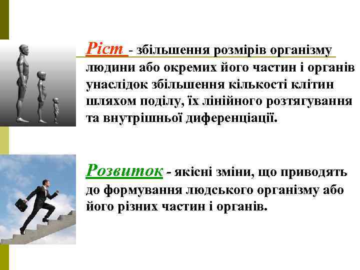 Ріст - збільшення розмірів організму людини або окремих його частин і органів унаслідок збільшення