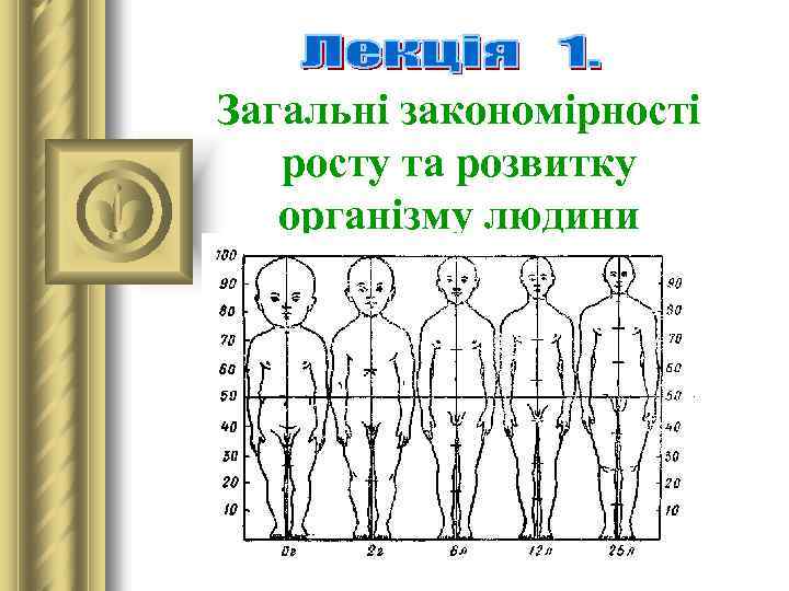 Загальні закономірності росту та розвитку організму людини 